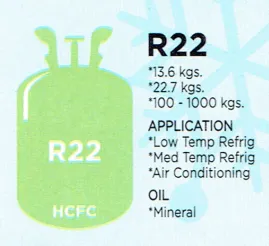 R22
